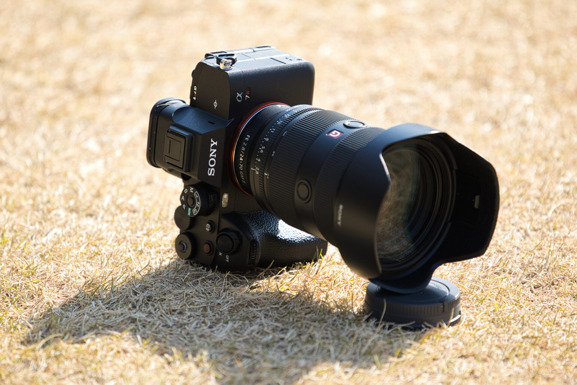 α7R V vs α7R VI 徹底比較｜所持者目線で語る進化点と買い替え判断
